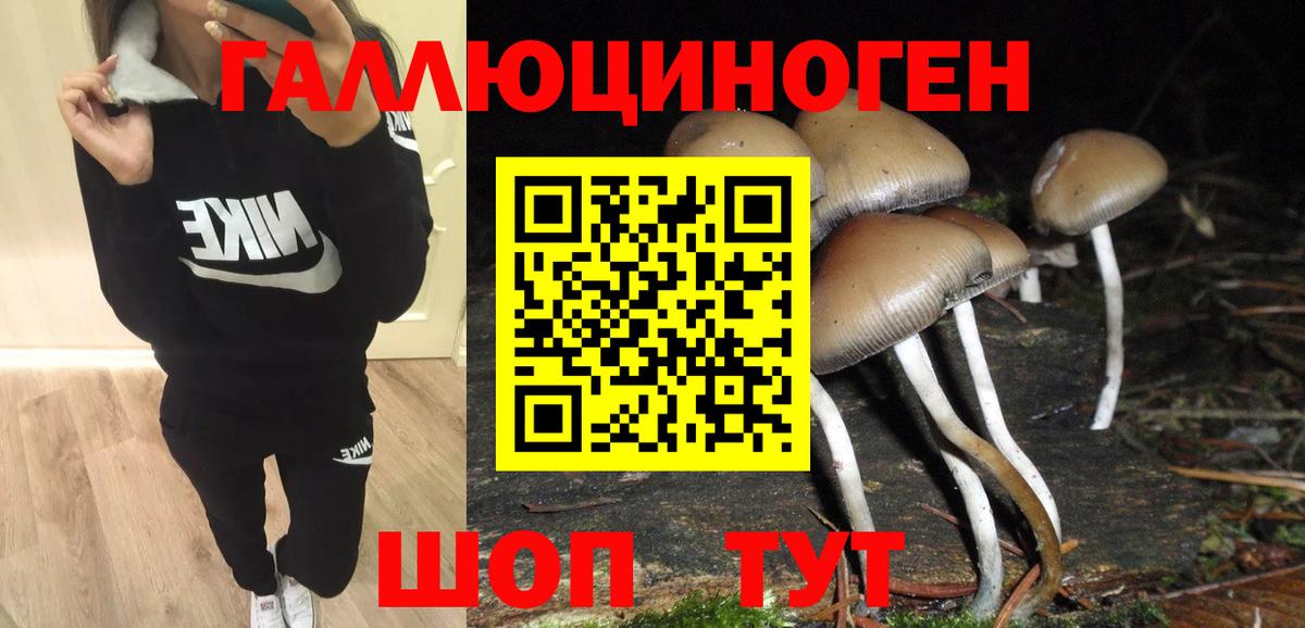 Пенза  Псилоцибиновые грибы Cubensis  Вход с VPN  Псилоцибиновые грибы GOLDEN TEACHER 