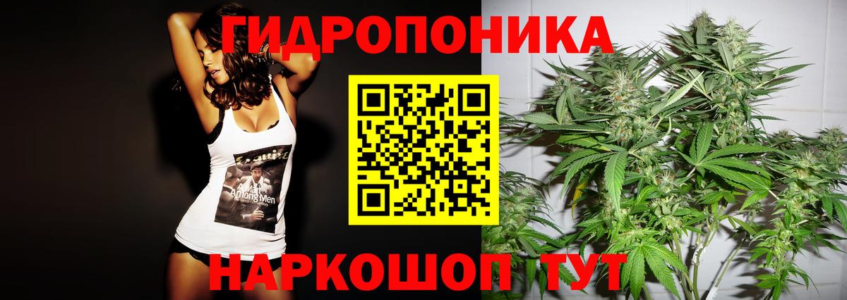 Конопля тримм  Марихуана OG Kush  Шишки марихуана планчик  Пенза  Конопля индика 